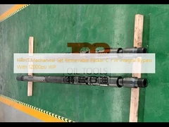 Ανακτήσιμος συσκευαστής Γ συνόλου HPHT μηχανικός/ακέραια παράκαμψη W με 12000psi WP